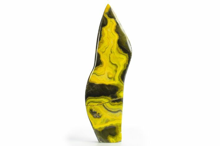 Bargain, Free-Standing Polished Bumblebee Jasper #312079